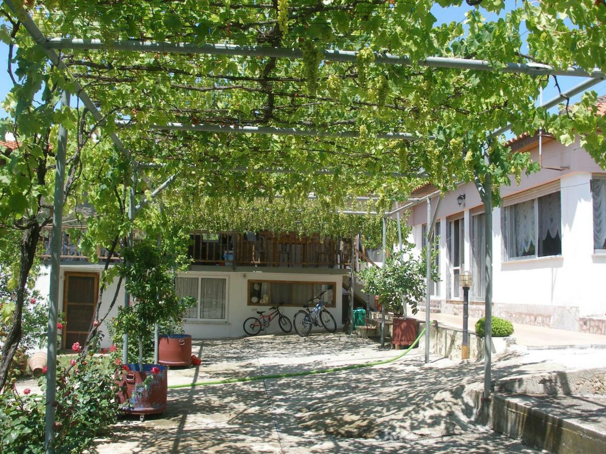 Green Leaves Nea Iraklitsa 外观 照片